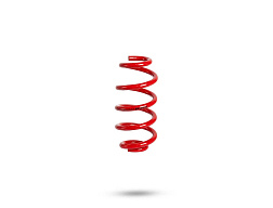 Pedders TrakRyder pružina