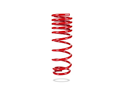 Pedders SportsRyder pružina