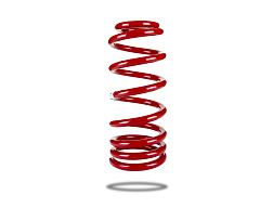 Pedders zesílená pružina