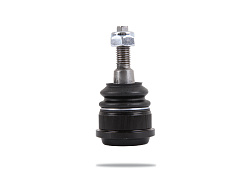 Pedders Kulový čep - zvětšený